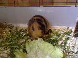 Bild 040