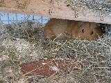 IMG_0657