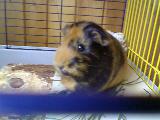 Bild 057
