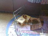 Bild 060
