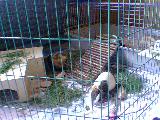 Bild 069
