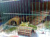Bild 078