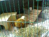 Bild 093