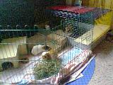 Bild 096