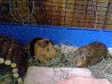 Bild 257