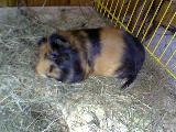Bild 307