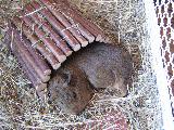 IMG_0675